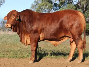 119 SC 236168 (HP) D3