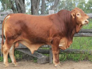 121. SC 205785 (P) D4