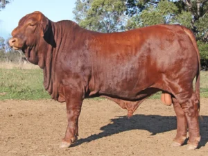 122 SC 236226 (PP) D3