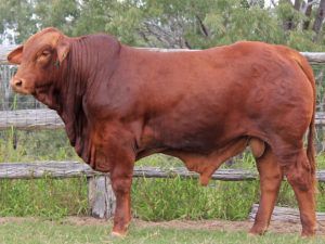 122. SC 205765 (P) D4