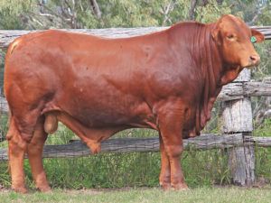 124. SC 205824 (S) D3