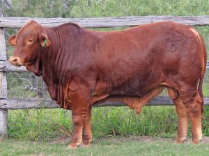 129. SC 205828 (P) D5