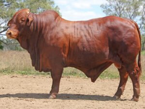 24 SC 236170 (HH) (AI) D3