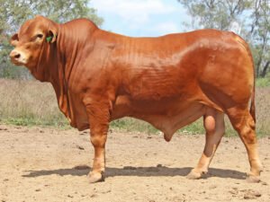 26 SC 236154 (PP) D4