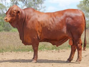 27 SC 236236 (PP) D3