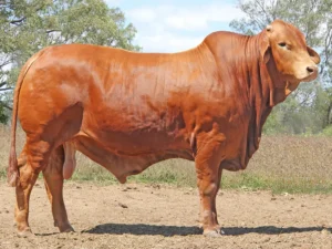 28 SC 246332 (PH) D3