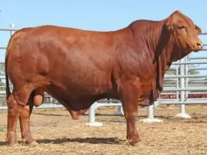 47 SC 226049 (PP) D4