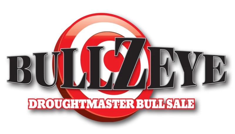 BULLZEYE DROUGHTMASTER BULL SALE LG VIDEO-WEB