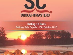 bullzeye oct 2015 flyer