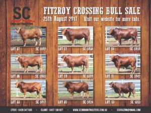 fitzroy crossing aug 2017 flyer