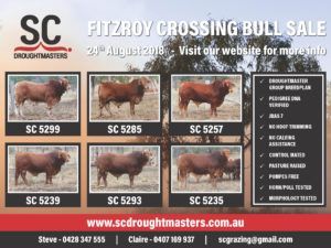 fitzroy crossing aug 2018 flyer