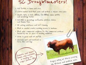 jan 2019 qcl digest advertisement 768x1072