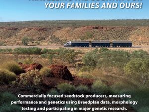 sc grazing droughtmaster digest november 2022