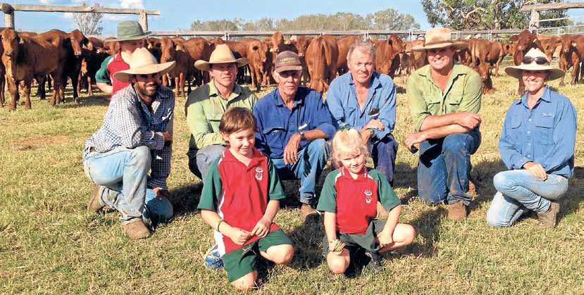 top wa beef breeder buys comanche droughtmasters 1