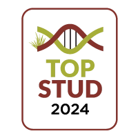 topstud badge vector colour