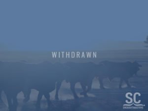 53 SC 236194 (HP) D3